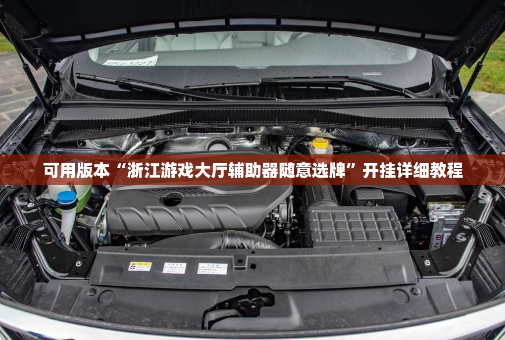 可用版本“浙江游戏大厅辅助器随意选牌”开挂详细教程