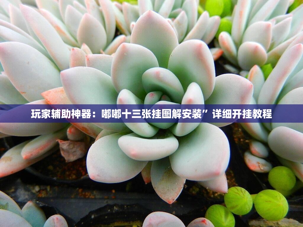 玩家辅助神器：嘟嘟十三张挂图解安装	”详细开挂教程