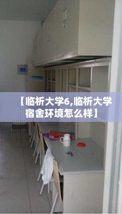 【临析大学6,临析大学宿舍环境怎么样】