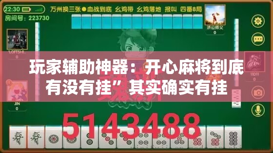 玩家辅助神器：开心麻将到底有没有挂	”其实确实有挂