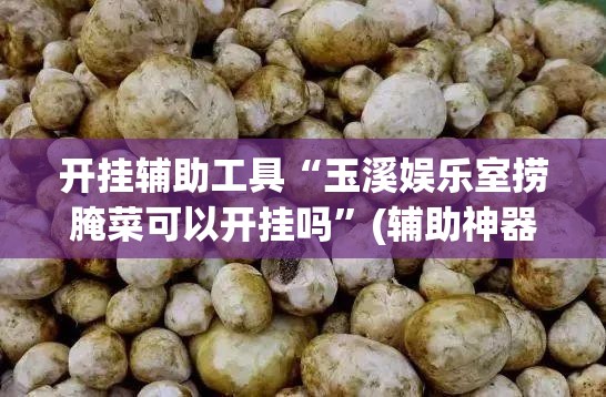 开挂辅助工具“玉溪娱乐室捞腌菜可以开挂吗	”(辅助神器)开挂详细教程