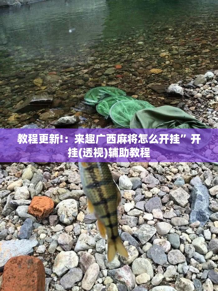 教程更新!：来趣广西麻将怎么开挂”开挂(透视)辅助教程