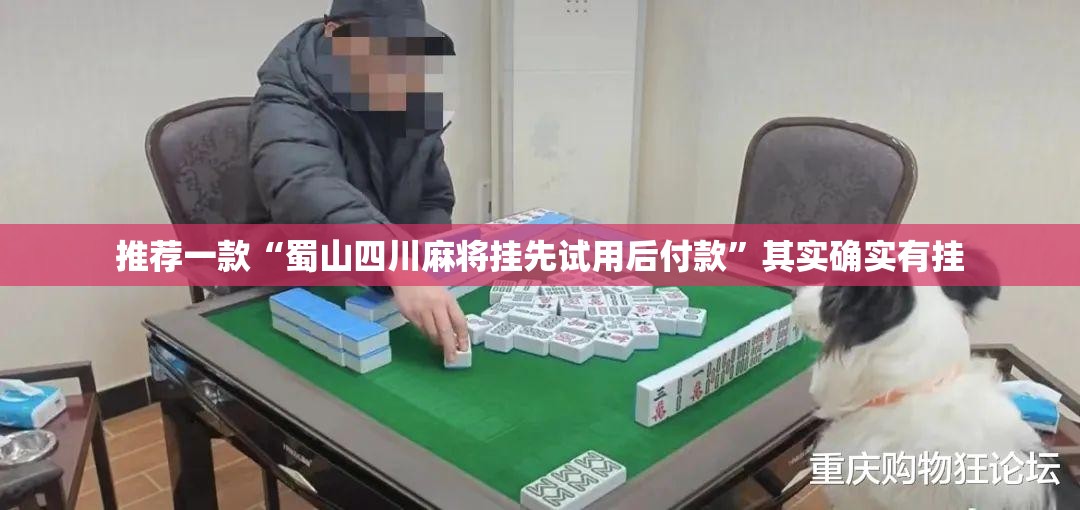 推荐一款“蜀山四川麻将挂先试用后付款	”其实确实有挂