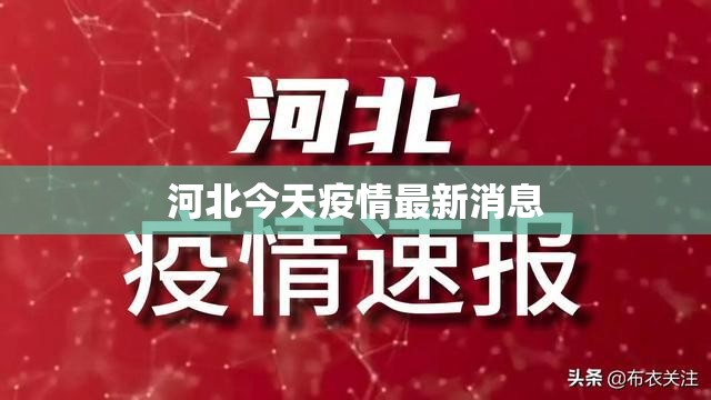 河北今天疫情最新消息/河北今日疫情况