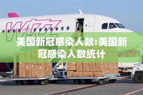 美国新冠感染人数:美国新冠感染人数统计