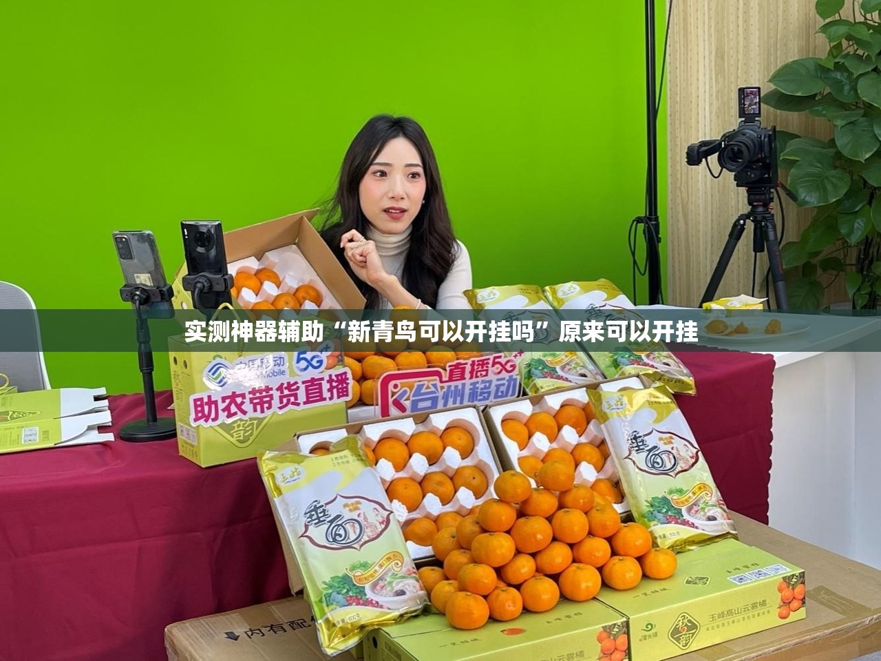 实测神器辅助“新青鸟可以开挂吗”原来可以开挂