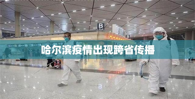 哈尔滨疫情出现跨省传播:哈尔滨疫情出现跨省传播吗