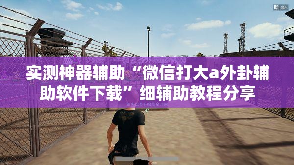 实测神器辅助“微信打大a外卦辅助软件下载”细辅助教程分享