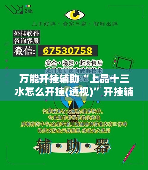 万能开挂辅助“上品十三水怎么开挂(透视)”开挂辅助脚本+详细开挂安装教程
