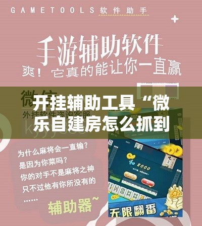 开挂辅助工具“微乐自建房怎么抓到好牌	”开挂详细教程