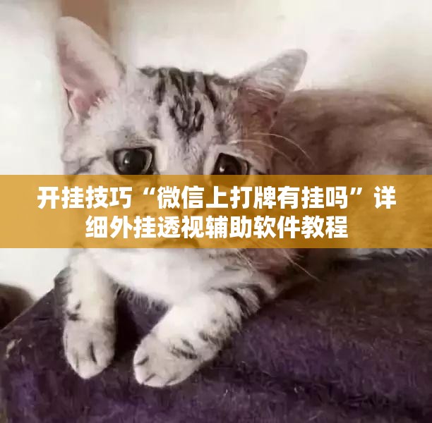 开挂技巧“微信上打牌有挂吗	”详细外挂透视辅助软件教程
