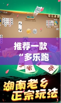 推荐一款“多乐跑胡子免费辅助器”(透视挂)辅助下载教程