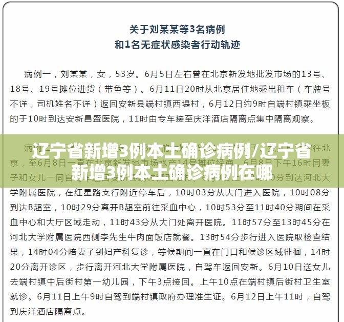辽宁省新增3例本土确诊病例/辽宁省新增3例本土确诊病例在哪