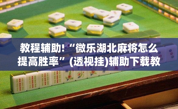 教程辅助!“微乐湖北麻将怎么提高胜率”(透视挂)辅助下载教程