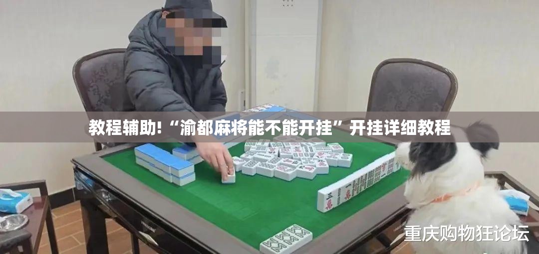 教程辅助!“渝都麻将能不能开挂”开挂详细教程