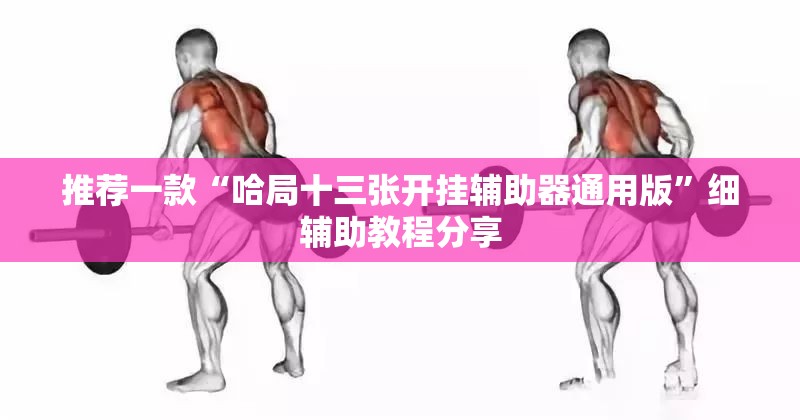 推荐一款“哈局十三张开挂辅助器通用版	”细辅助教程分享