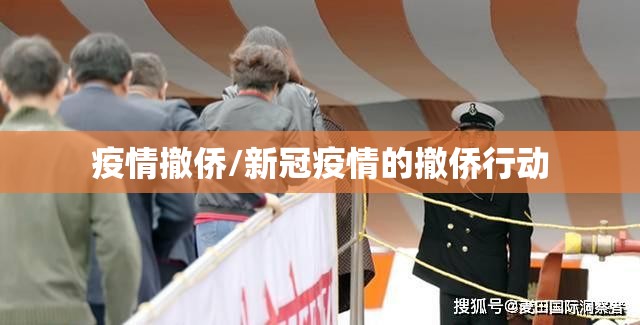 疫情撤侨/新冠疫情的撤侨行动