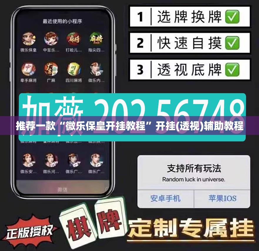 推荐一款“微乐保皇开挂教程”开挂(透视)辅助教程