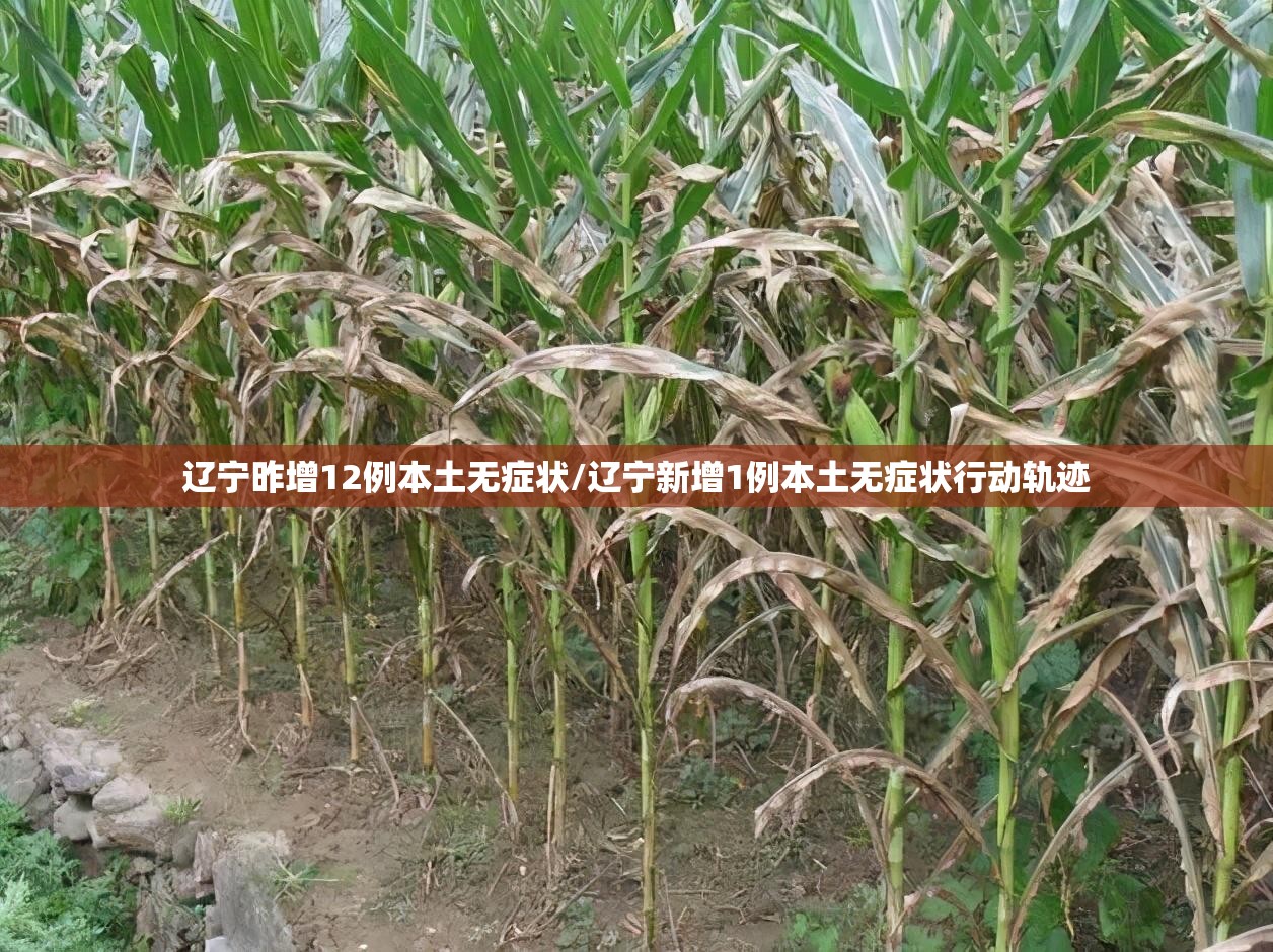 辽宁昨增12例本土无症状/辽宁新增1例本土无症状行动轨迹