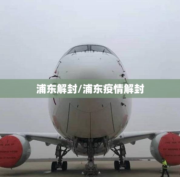 浦东解封/浦东疫情解封