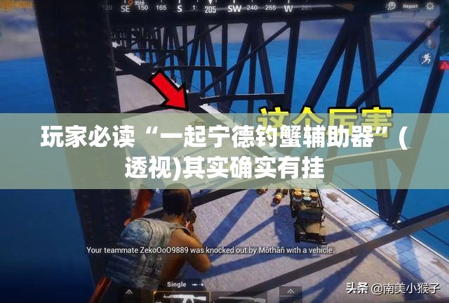 玩家必读“一起宁德钓蟹辅助器”(透视)其实确实有挂