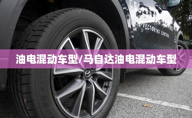 油电混动车型/马自达油电混动车型