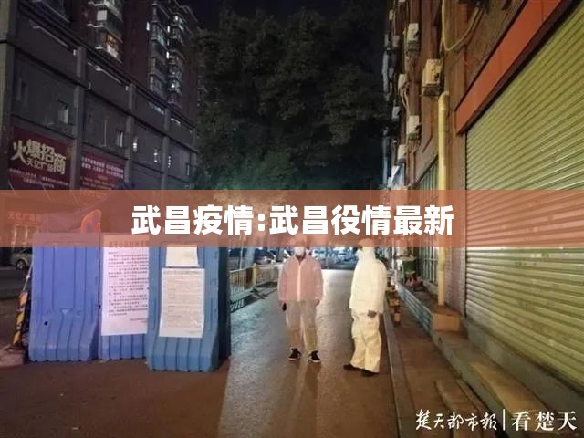 武昌疫情:武昌役情最新