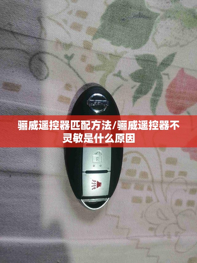 骊威遥控器匹配方法/骊威遥控器不灵敏是什么原因