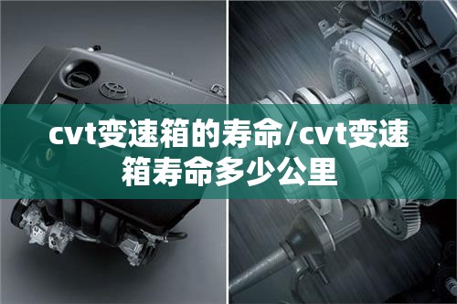 cvt变速箱的寿命/cvt变速箱寿命多少公里