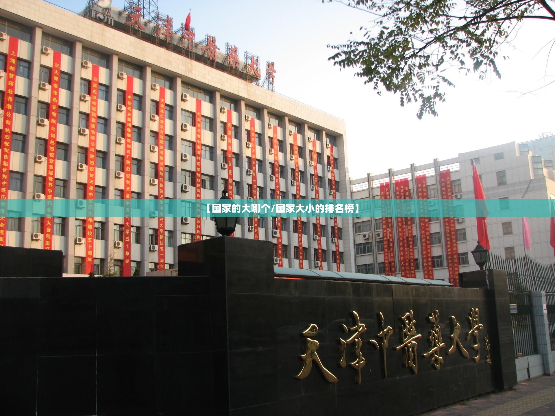 【国家的大哪个/国家大小的排名榜】