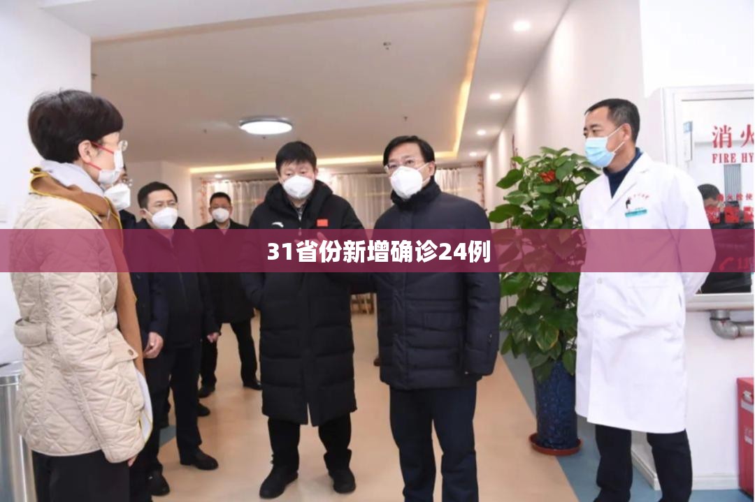 31省份新增确诊24例/31省份新增本土确诊24