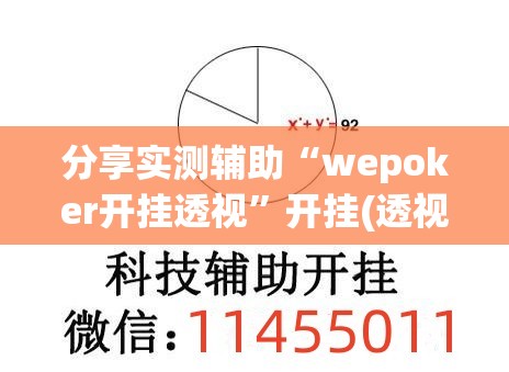 分享实测辅助“wepoker开挂透视”开挂(透视)最新辅助详细