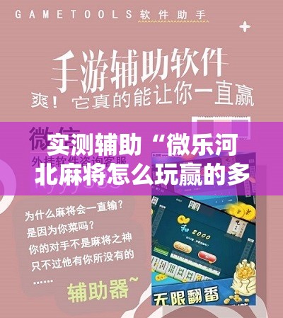 实测辅助“微乐河北麻将怎么玩赢的多”开挂详细教程
