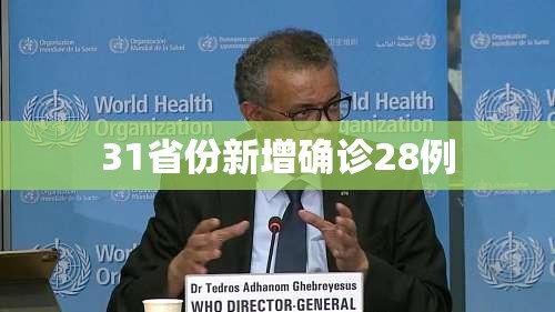31省份新增确诊28例/31省份新增确诊28例?