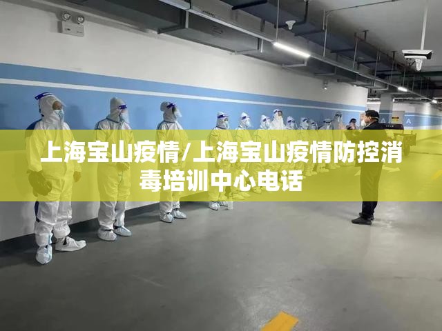 上海宝山疫情/上海宝山疫情防控消毒培训中心电话
