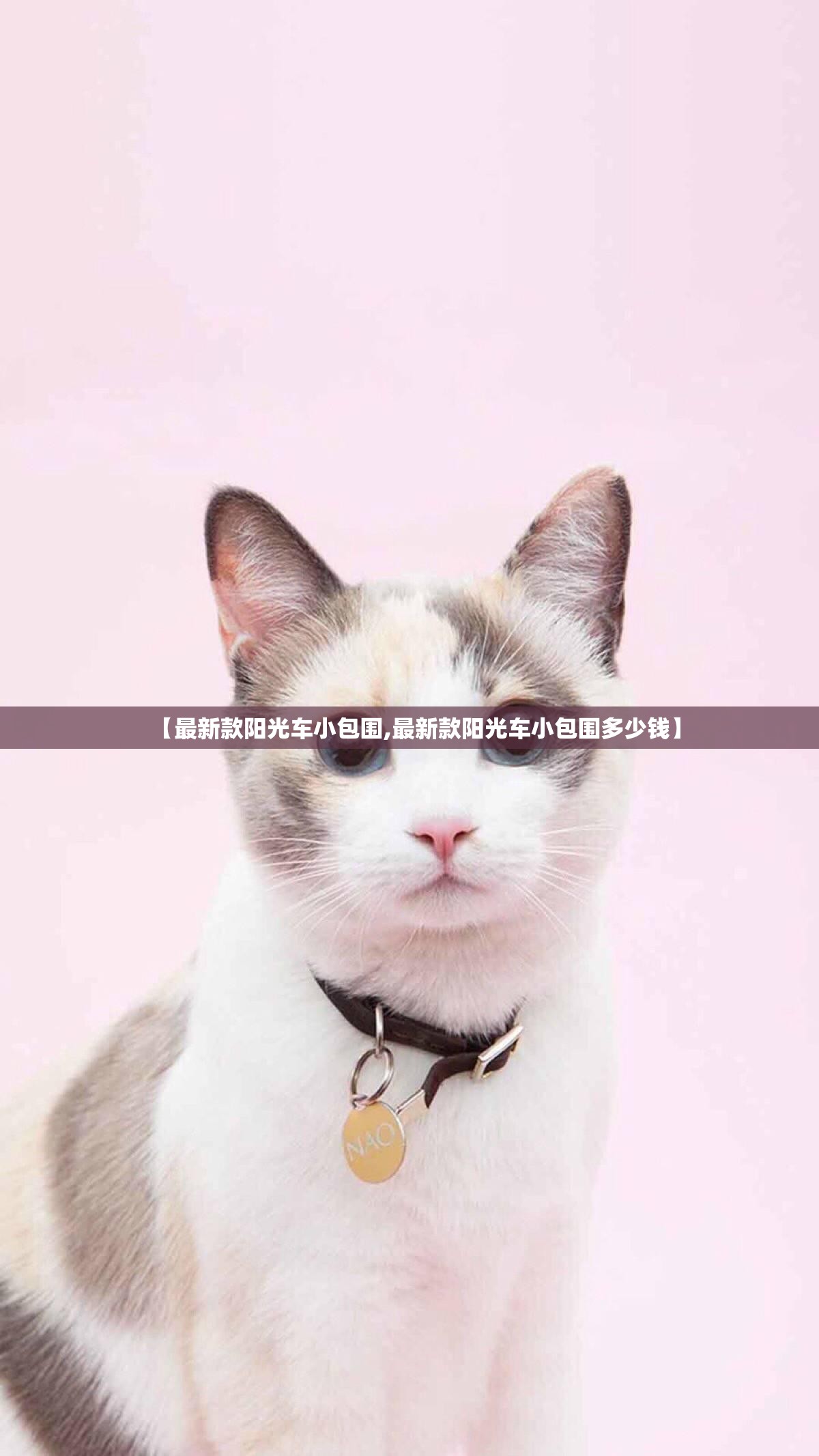 【最新款阳光车小包围,最新款阳光车小包围多少钱】 【最新款阳光车小包围,最新款阳光车小包围多少钱】