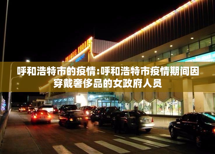 呼和浩特市的疫情:呼和浩特市疫情期间因穿戴奢侈品的女政府人员
