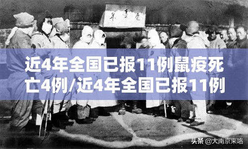近4年全国已报11例鼠疫死亡4例/近4年全国已报11例鼠疫死亡4例