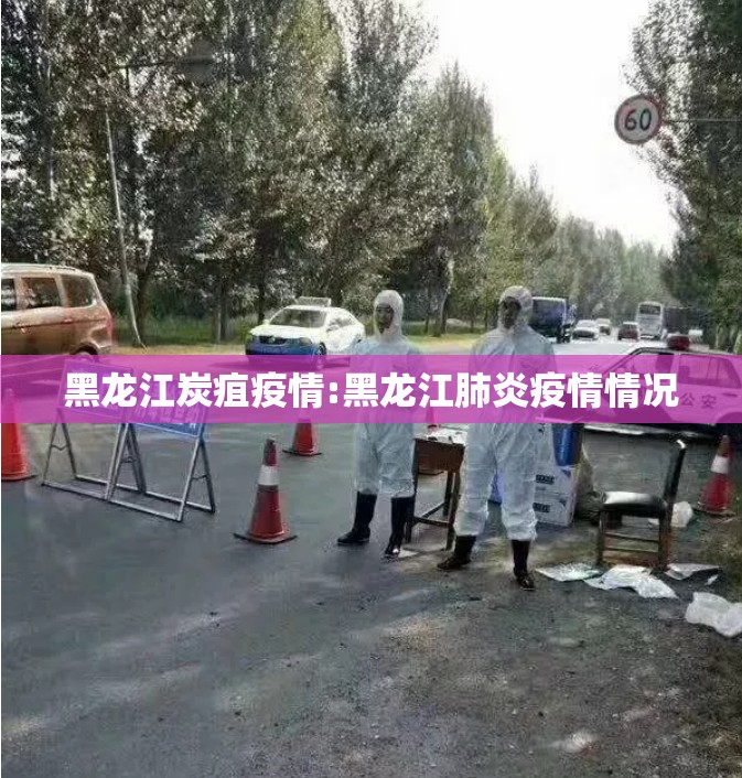 黑龙江炭疽疫情:黑龙江肺炎疫情情况