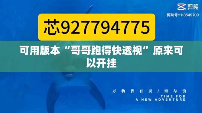 可用版本“哥哥跑得快透视”原来可以开挂