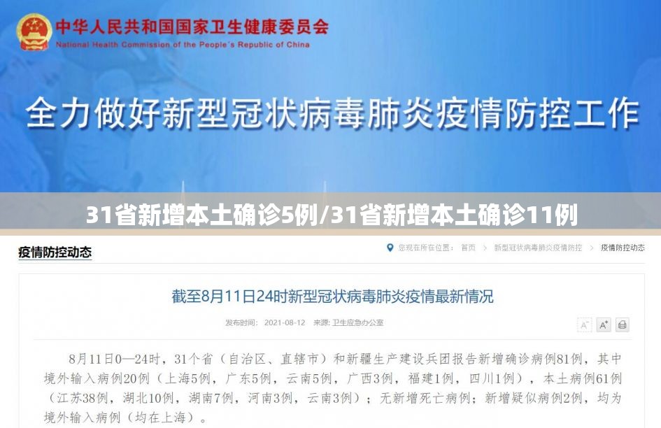 31省新增本土确诊5例/31省新增本土确诊11例