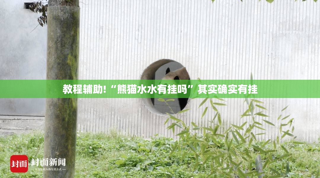 教程辅助!“熊猫水水有挂吗”其实确实有挂