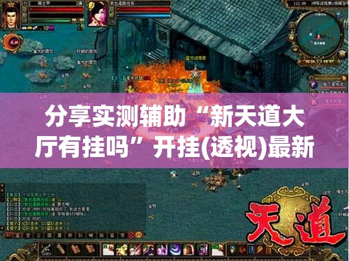 分享实测辅助“新天道大厅有挂吗”开挂(透视)最新辅助详细