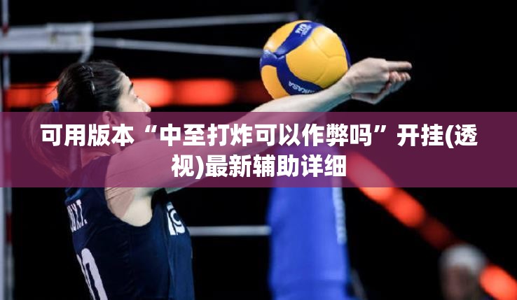 可用版本“中至打炸可以作弊吗”开挂(透视)最新辅助详细