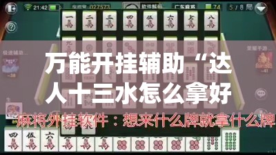 万能开挂辅助“达人十三水怎么拿好牌”(透视)其实确实有挂