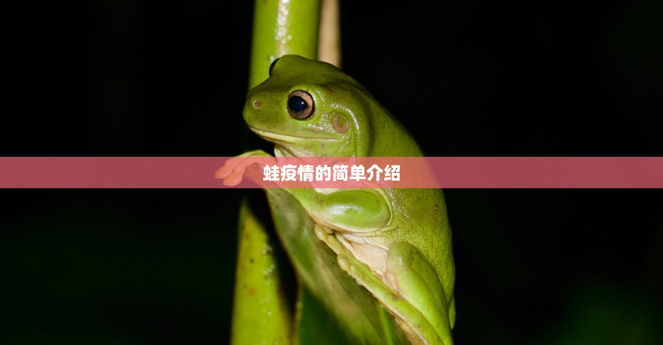 蛙疫情的简单介绍