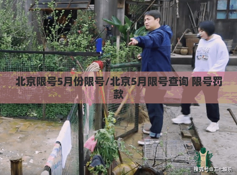 北京限号5月份限号/北京5月限号查询 限号罚款