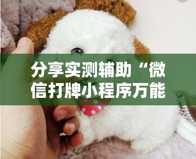 分享实测辅助“微信打牌小程序万能开挂器”科技辅助神器手机版