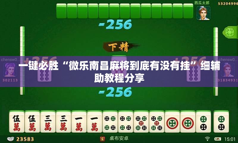 一键必胜“微乐南昌麻将到底有没有挂”细辅助教程分享