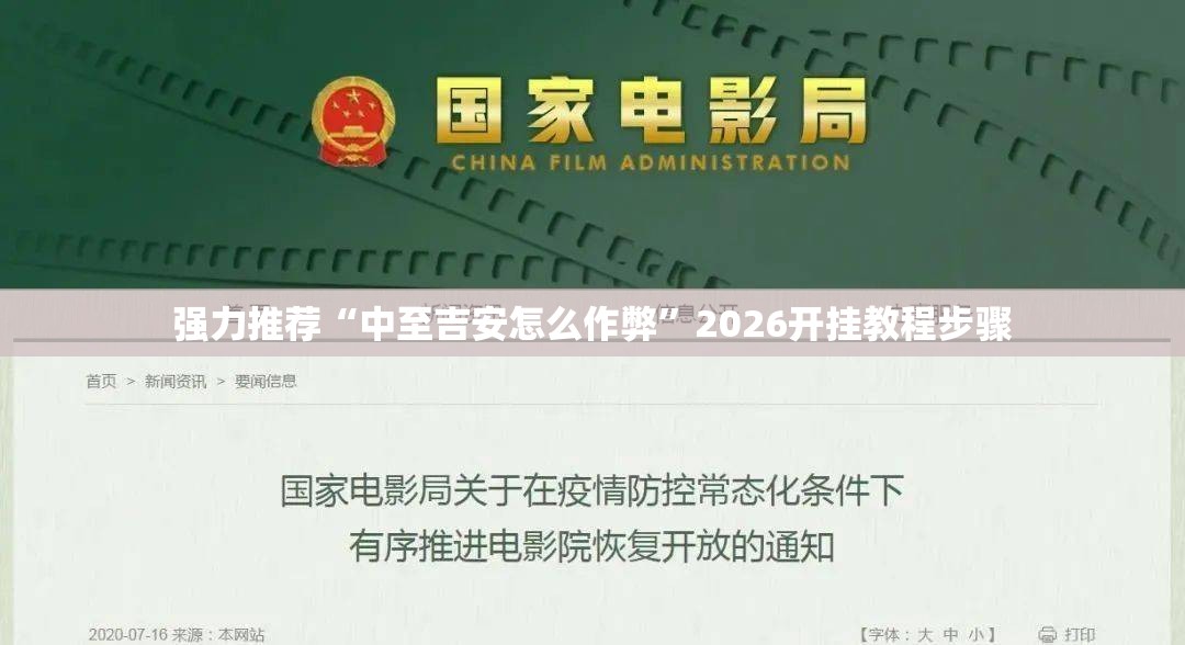 强力推荐“中至吉安怎么作弊”2026开挂教程步骤